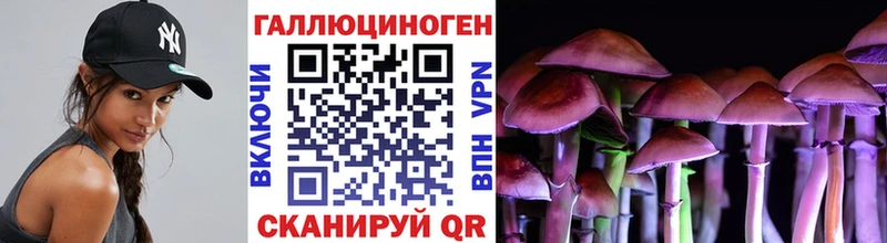 Купить закладки  Тимашёвск  Галлюциногенные грибы GOLDEN TEACHER 