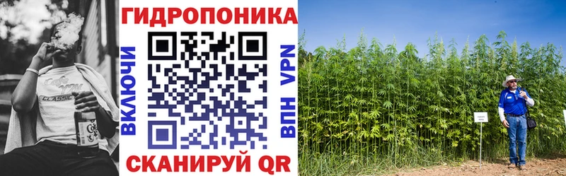 Канабис ГИДРОПОН Купить где Тимашёвск